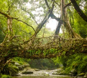 Assam Meghalaya tour package 6 days from Guwahati