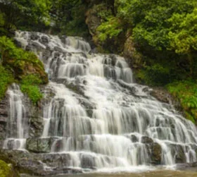 Budget tour package to Kaziranga and Cherrapunji