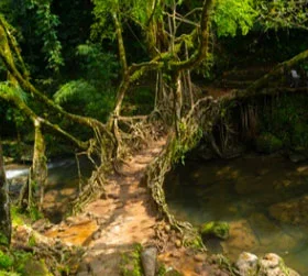 meghalaya shillong cherrapunji package tour booking from guwahati
