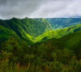 Luxury Meghalaya and Assam wildlife tour package