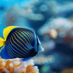 Lakshadweep Travel Packages from Ahmedabad