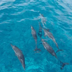 Ahmedabad Lakshadweep Tour Packages