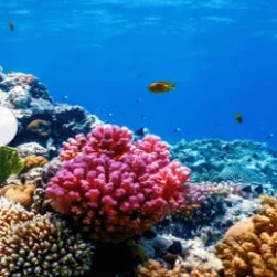 Lakshadweep Travel Packages from Ahmedabad