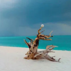 Lakshadweep Tour Operators from Ahmedabad