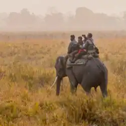 Budget North East Package Tour from Patna