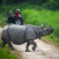 North East Package Tour Iitnerary from Patna