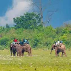 North East package tour from Patna