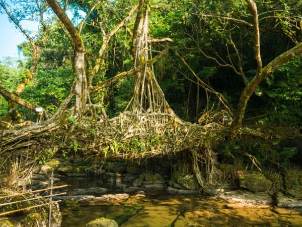 North East, Meghalaya package tour with Tura, wori-chora