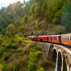 Best packages in Shimla and Manali from Delhi