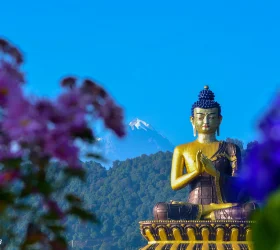 Gangtok tour packages