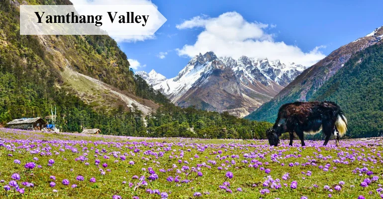 Sikkim tour guide with Gangtok