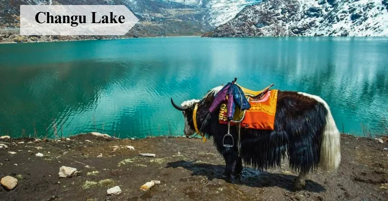 Sikkim trip with Gangtok