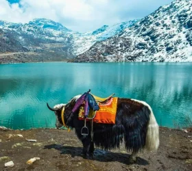 Sikkim Gangtok tour package booking