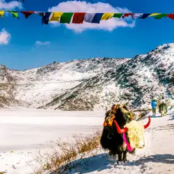 Sikkim Package Tour from Bhopal