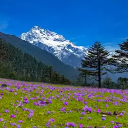 Sikkim Tour Plan from Bhopal