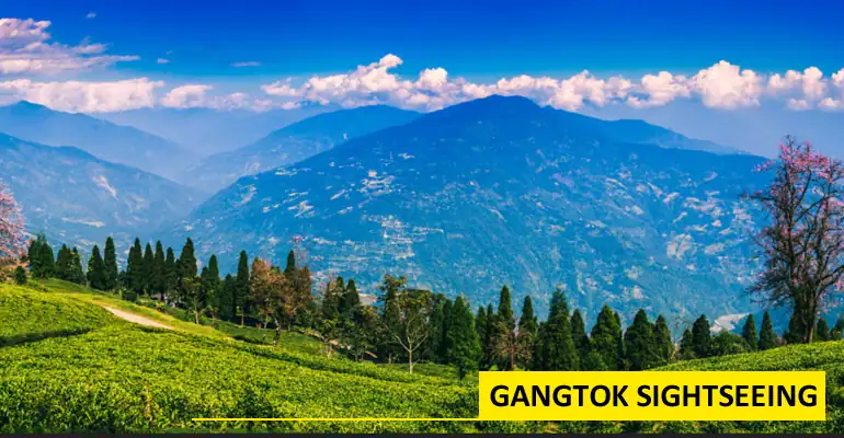 Sikkim tour guide from Bagdogra Airport