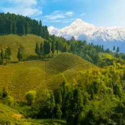 Sikkim Darjeeling Package Tour Holidays from Mumbai