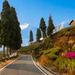 Sikkim Darjeeling Tour Package Plan from Mumbai