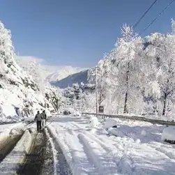 Sikkim Darjeeling Tour Package Plan from Mumbai