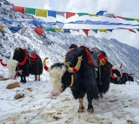 Silk Route tour package from Pune