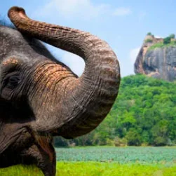 Sri Lanka packages from Mumbai