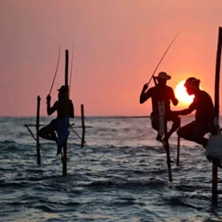 Sri Lanka Package Tour with flight from Mumbai