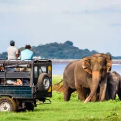 Sri Lanka package tour in December from Mumbai