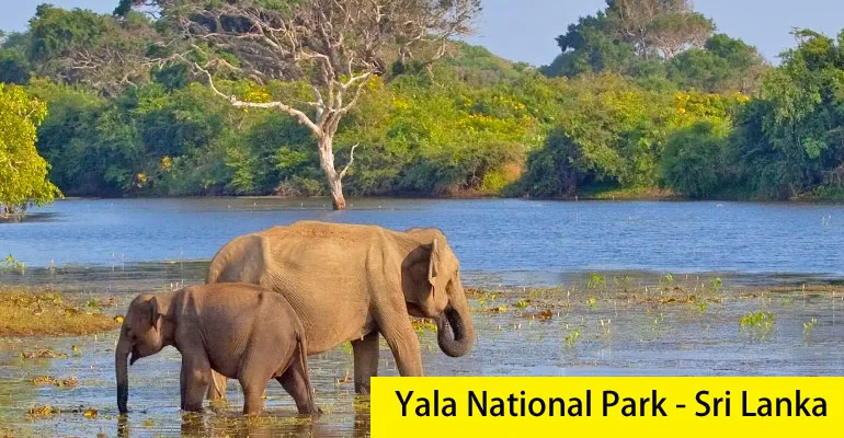 Sri Lanka Package Tour from Mumbai