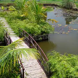 Sundarban Luxury Package with Hotel Sonar Bangla Stay