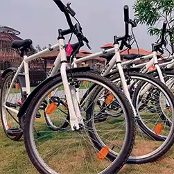 Premium Sundarban Package Tour with Hotel Sonar Bangla Amenities
