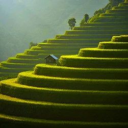 vietnam packages from Chandigarh trip