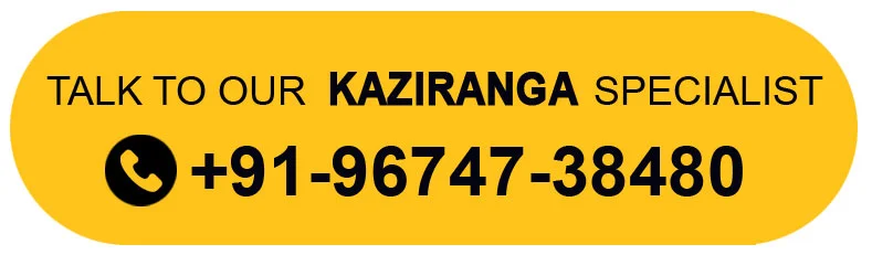Kaziranga tour packages with Elephant Safari and Jeep Safari