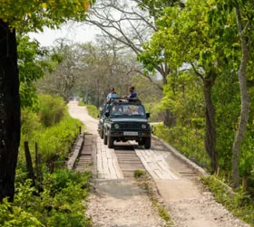 Kaziranga Elephant Safari Tour Packages From Pune
