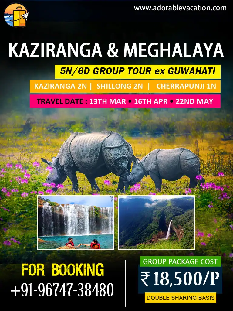 Kaziranga Package Tour From Bangalore with Elephant Safari