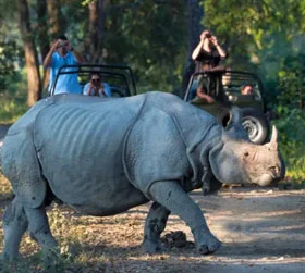 Kaziranga Tour Package From Pune with Elephant Safari