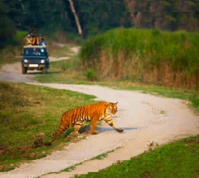 Kaziranga Package Tour From Pune with Elephant Safari