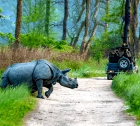 Kaziranga Package Tour From Pune with Jeep Safari