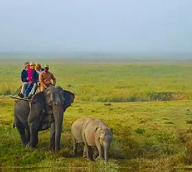 Kaziranga Tour Package From Pune with Elephant Safari