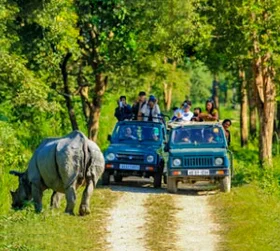 Kaziranga Package Tour From Pune with Jeep Safari