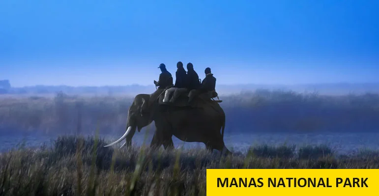 Kaziranga Elephant Safari Package Tour