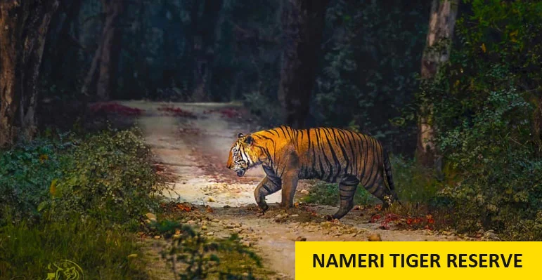 Kaziranga Package Tour From Pune with Jeep Safari