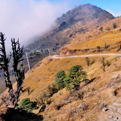 Sandakphu Land Rover Tour Package