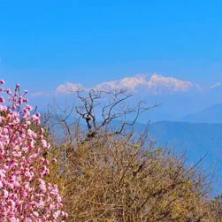 Sandakphu Land Rover Package Booking from Delhi