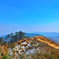 Sandakphu Package Tour Booking from Delhi